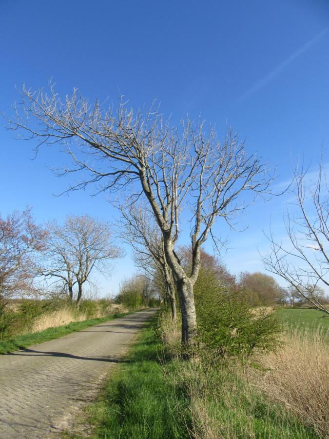 Ferienwohnung Nowara Krummhörn Buitenkant foto